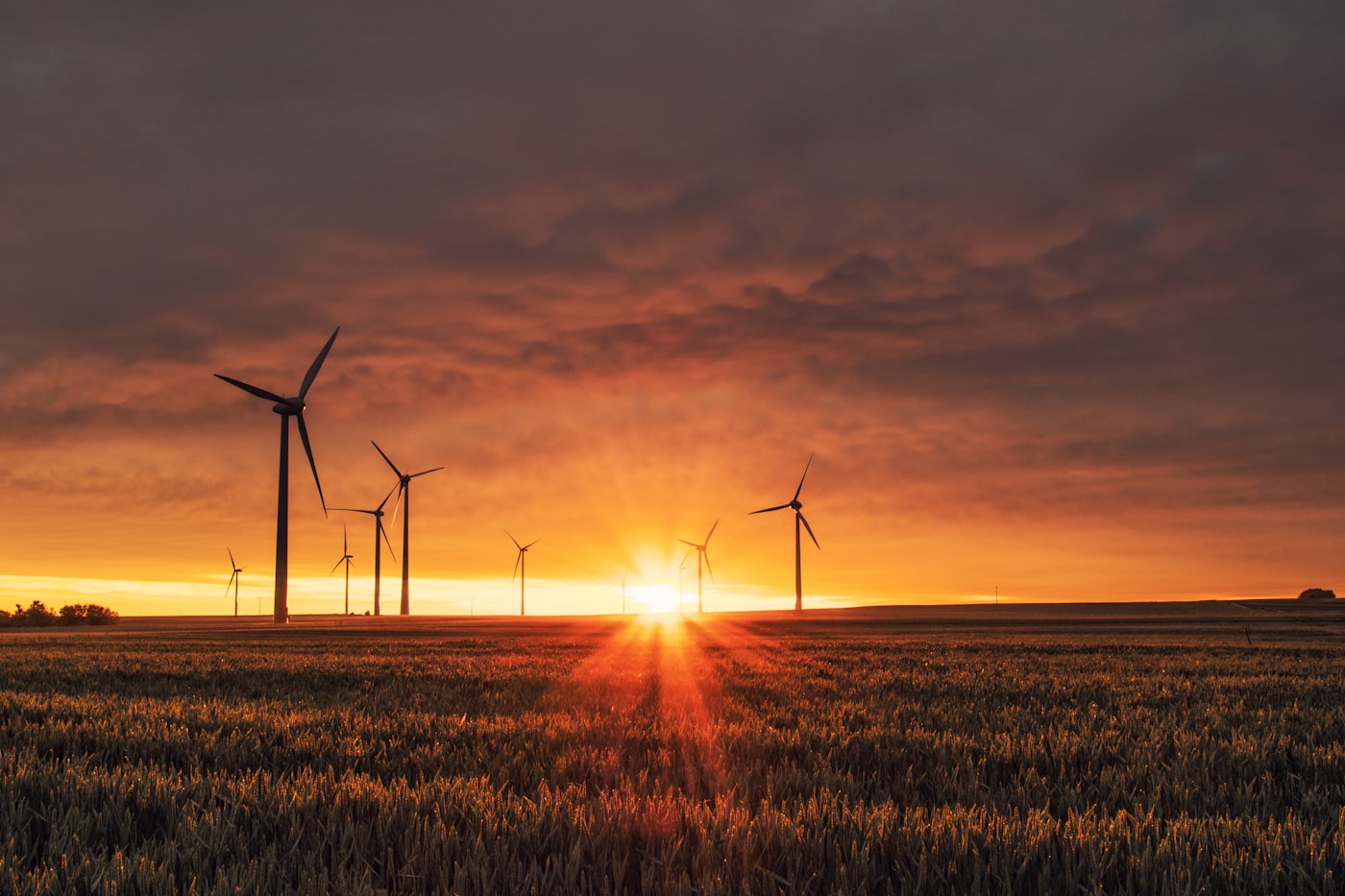 Wind and clean power representing net-zero pathways